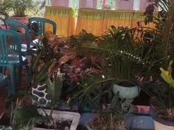 TPS di Bone Didirikan di Tengah Pekuburan