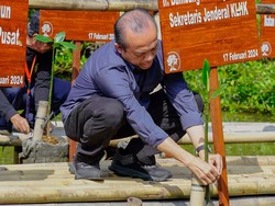 Peringati HPN 2024, KLHK dan PWI Tanam Mangrove di TWA  Angke Kapuk