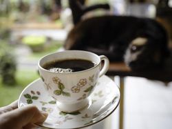 5 Fakta Kopi dan Depresi, Benarkah Ampuh Atasi Stres?