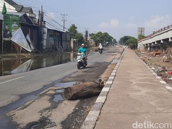 Sempat Dibuka, Pantura Demak-Kudus Ditutup Lagi Sampai Besok Pagi