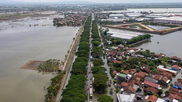 Banjir Masih Genangi Demak