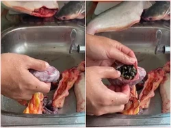 Bersihkan Ikan Patin, Pria Ini Temukan Banyak Siput di Perut Ikan