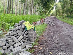 Warga 2 RT di Banyuwangi Gigit Jari Usai Caleg NasDem Tarik Bantuan Paving