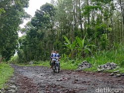 NasDem Banyuwangi Buka Suara soal Caleg Tarik Bantuan Paving gegara Kalah