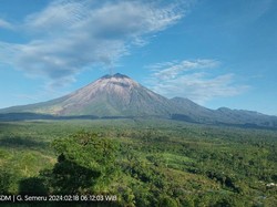 Erupsi Lagi, Gunung Semeru Lontarkan Abu Vulkanik Setinggi 800 Meter