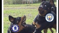 Garangnya Chelsea di laga ini diyakini bikin Man City terkaget-kaget. Foto: dok. Internet/X (Twitter)