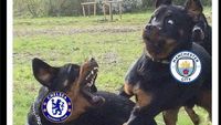 Meme Chelsea Garang Lawan City
