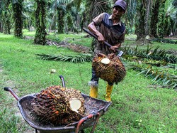 RI Geram Uni Eropa Ganggu Nikel & Sawit