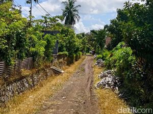 Caleg NasDem Banyuwangi Tarik Bantuan Paving, Warga Sedih Jalan Tetap Becek