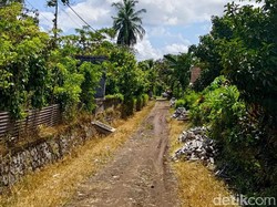 Caleg NasDem Banyuwangi Tarik Bantuan Paving, Warga Sedih Jalan Tetap Becek