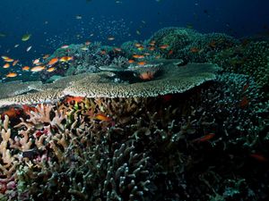 9 Situs Warisan Dunia UNESCO Ini Ada di Negara Tetangga RI