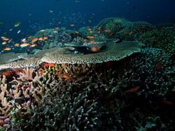 9 Situs Warisan Dunia UNESCO Ini Ada di Negara Tetangga RI