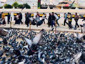 Stupa Boudhanath yang Paling Besar di Nepal, Apa Keistimewaannya? Stupa Boudhanath yang Paling Besar di Nepal, Apa Keistimewaannya?