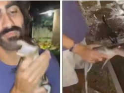 Viral Pria Cium Bayi Aligator, Endingnya Mengerikan