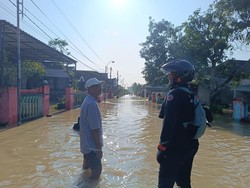 Ratusan Rumah-Sawah di Gresik Terendam Banjir Dampak Kali Lamong Meluap