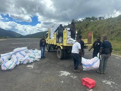 Pembelaan Pemkab Intan Jaya soal KKB Rampas 119 Kotak Suara Pemilu