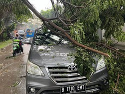 Mobil Ditumpangi Satu Keluarga Tertimpa Pohon Tumbang di Bogor