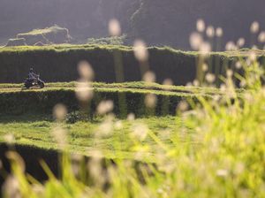 Perusahaan Malaysia Borong Lahan di Sentul City Rp 2 Triliun Perusahaan Malaysia Borong Lahan di Sentul City Rp 2 Triliun