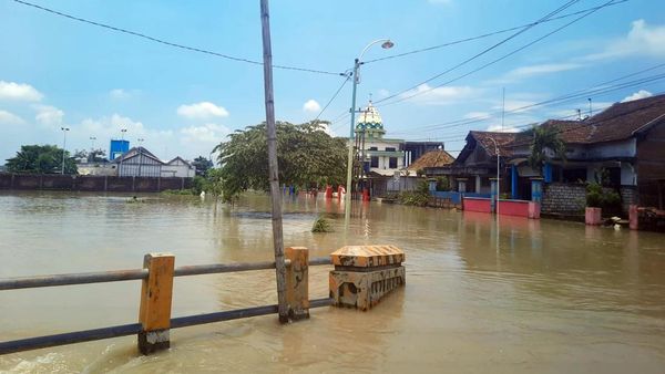 Rumah dan Sawah di Gresik Terendam Banjir Akibat Luapan Kali Lamong