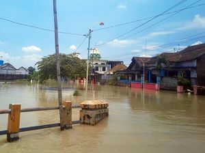 Rumah dan Sawah di Gresik Terendam Banjir Akibat Luapan Kali Lamong Rumah dan Sawah di Gresik Terendam Banjir Akibat Luapan Kali Lamong
