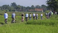 Serunya Bule-bule Jelajahi Persawahan Yogyakarta Naik Sepeda