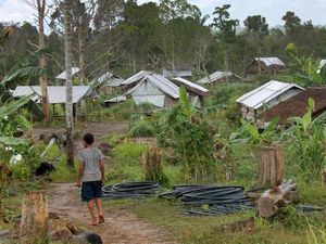 Baku Tembak Antarsuku Terjadi di Papua Nugini, 64 Orang Tewas Baku Tembak Antarsuku Terjadi di Papua Nugini, 64 Orang Tewas
