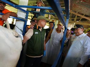 Pj Gubernur Sulsel Bahtiar Dorong Enrekang Jadi Sentra Sapi Perah
