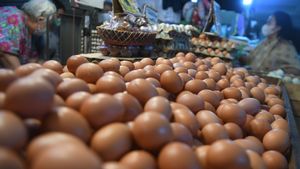 Harga Telur Kian Melonjak