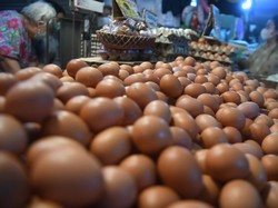 Nggak Cuma Beras, Harga Telur Ikutan Naik Jadi Rp 32 Ribu/Kg