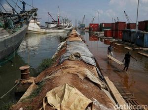 Siaga Banjir Rob di Pesisir Utara Jakarta