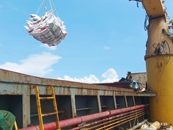 Ini Perusahaan Vietnam yang Terkait Dugaan Markup Impor Beras dengan Bulog-Bapanas