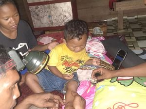 Bocah Diterkam Harimau Masuk Wilayah Landscape, BBKSDA Riau Pasang Kamera Trap Bocah Diterkam Harimau Masuk Wilayah Landscape, BBKSDA Riau Pasang Kamera Trap