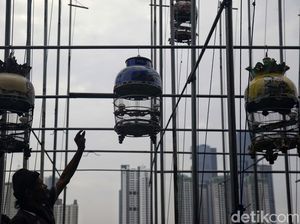Menjemur Burung Perkutut di Bantaran Kanal Banjir Barat Menjemur Burung Perkutut di Bantaran Kanal Banjir Barat