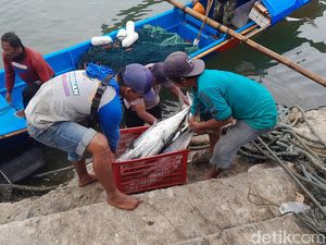 Rintih Nelayan Pangandaran di Musim Paceklik Ikan Rintih Nelayan Pangandaran di Musim Paceklik Ikan
