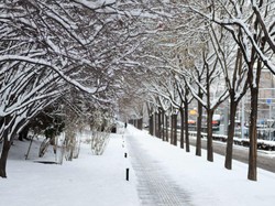 Video: Rekor Hujan Salju Bulan November Terlebat di Seoul Sejak 1907