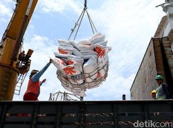 Harga Beras Masih Tinggi, Pemerintah Mau Impor 3,6 Juta Ton Sepanjang 2024