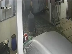 Burung Murai Senilai Rp 5 Juta di Depok Dicuri, Pelaku Terekam CCTV