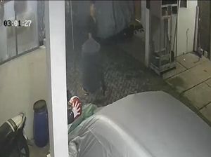Burung Murai Senilai Rp 5 Juta di Depok Dicuri, Pelaku Terekam CCTV Burung Murai Senilai Rp 5 Juta di Depok Dicuri, Pelaku Terekam CCTV