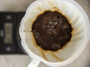 Minum Kopi di Pagi Hari Kurang Baik Untuk Kesehatan, Ini Kata Peneliti Minum Kopi di Pagi Hari Kurang Baik Untuk Kesehatan, Ini Kata Peneliti