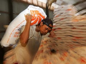 Beras Impor Tiba di Banyuwangi, Tak Lagi Langka?