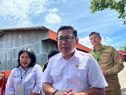 Harga Beras Masih Tinggi, Pemerintah Bisa Apa?