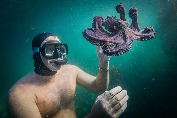 Film My Octopus Teacher (2020)/Foto: Netflix