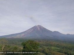 Gunung Semeru Erupsi Pagi Ini, Tercatat Letusan Sebanyak Dua Kali