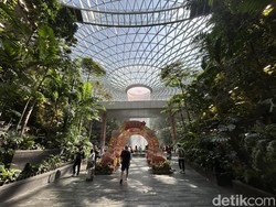 Bandara Changi Tersibuk Keempat Sedunia, Incar Lebih Banyak Penumpang