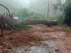 Longsor-Pohon Tumbang di Manggarai Barat, Akses Jalan Lumpuh
