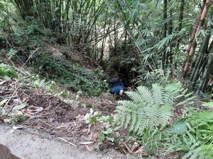 Pikap Bawa 7 Penumpang di Gowa Jatuh di Jurang, 1 Orang Tewas-6 Dirawat