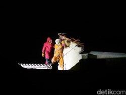 Sarang Tawon Vespa Tewaskan Pria di Bogor Kini Telah Dimusnahkan