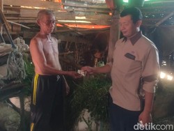 Puluhan Sapi Mati dalam Sepekan, Disnak: Sakit 1 Hari, Besoknya Mati