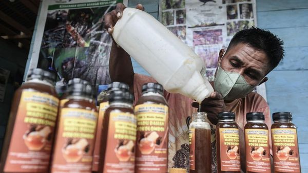 Berdaya dan Mandiri dalam Kokolomboi Lestari