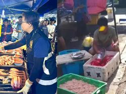 Duh! Penjual Diduga Pakai Pewarna Makanan agar Ikan Kelihatan Segar